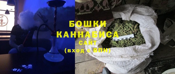 гашик Арсеньев