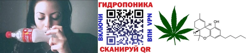 продажа наркотиков  Цивильск  Марихуана Ganja 
